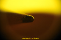 Punta matita MACRO artistica