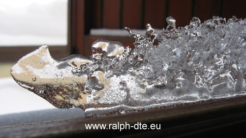 Scultura di ghiaccio naturale - RinoDrago